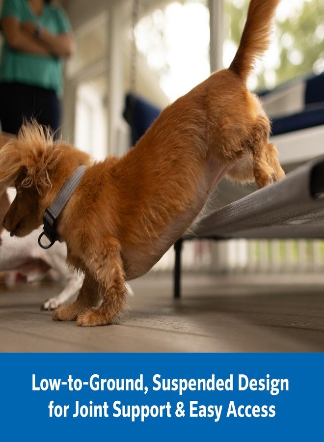 Coolaroo Pro Elevated Dog Bed with HeatShield Fabric – Advanced Cooling Raised Cot for Medium & Large Breeds, Easy-Clean, Low-to-Ground Access, Bonus Bolster Pillow – Pacific Crest Blue - Image 3